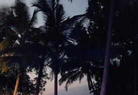 best place to stay in goa